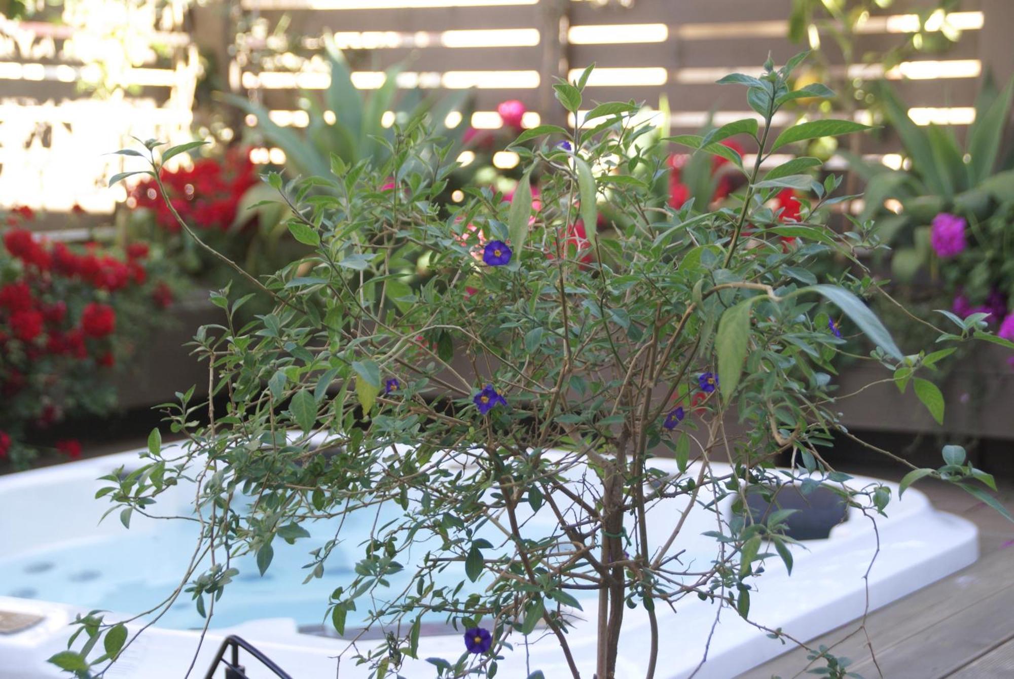 Fra Le Righe Bed & Breakfast Catania Exterior photo